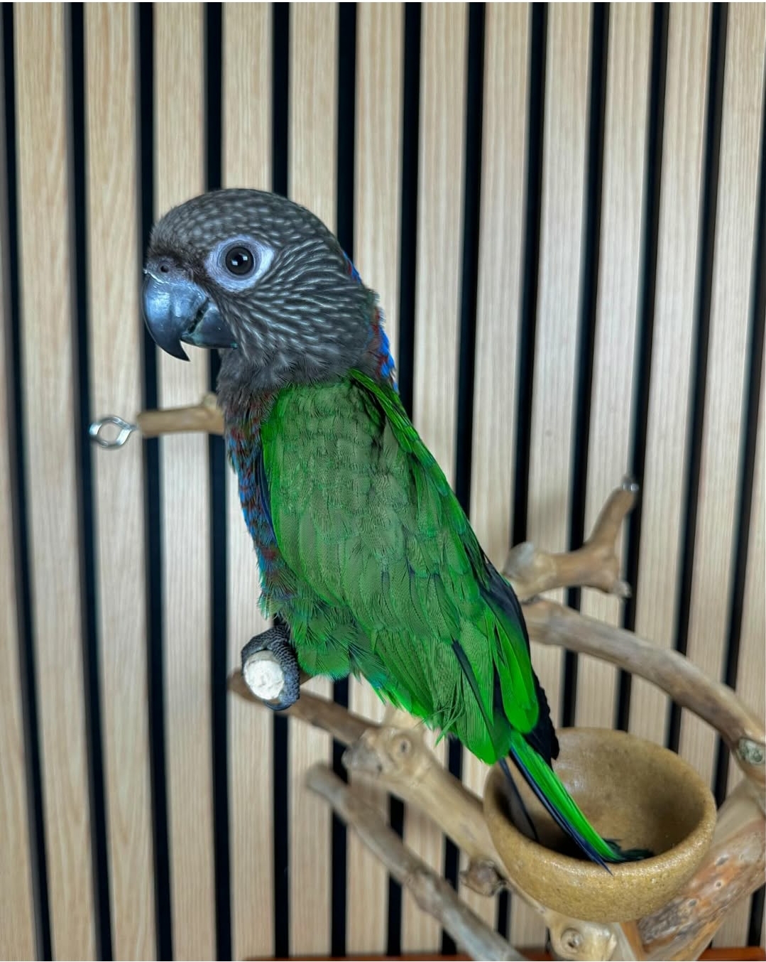 Screenshot_20251026-201625_Instagram