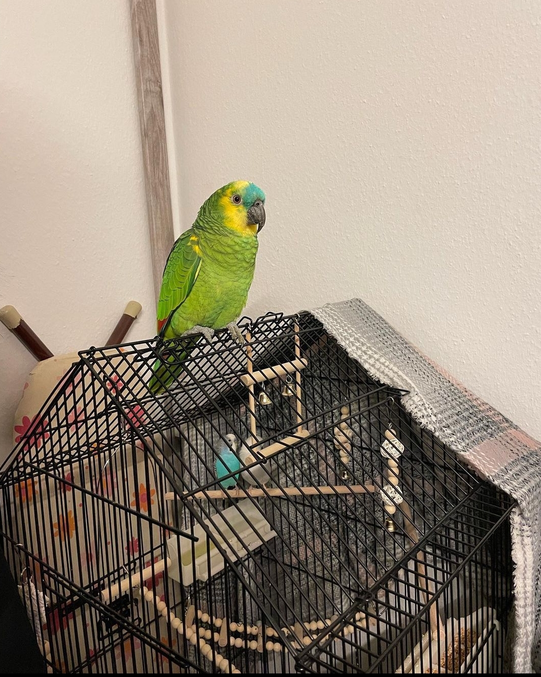 SmartSelect_20220627-154011_Instagram