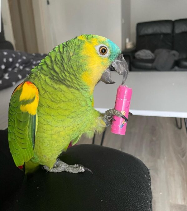 SmartSelect_20220627-180554_Instagram-600x675