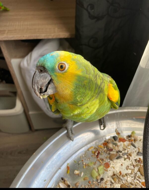 SmartSelect_20220627-180627_Instagram-600x766