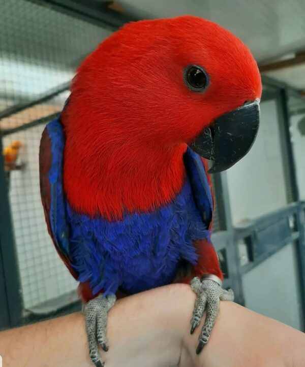 SmartSelect_20221123-001931_Instagram-Copy-2-600x723