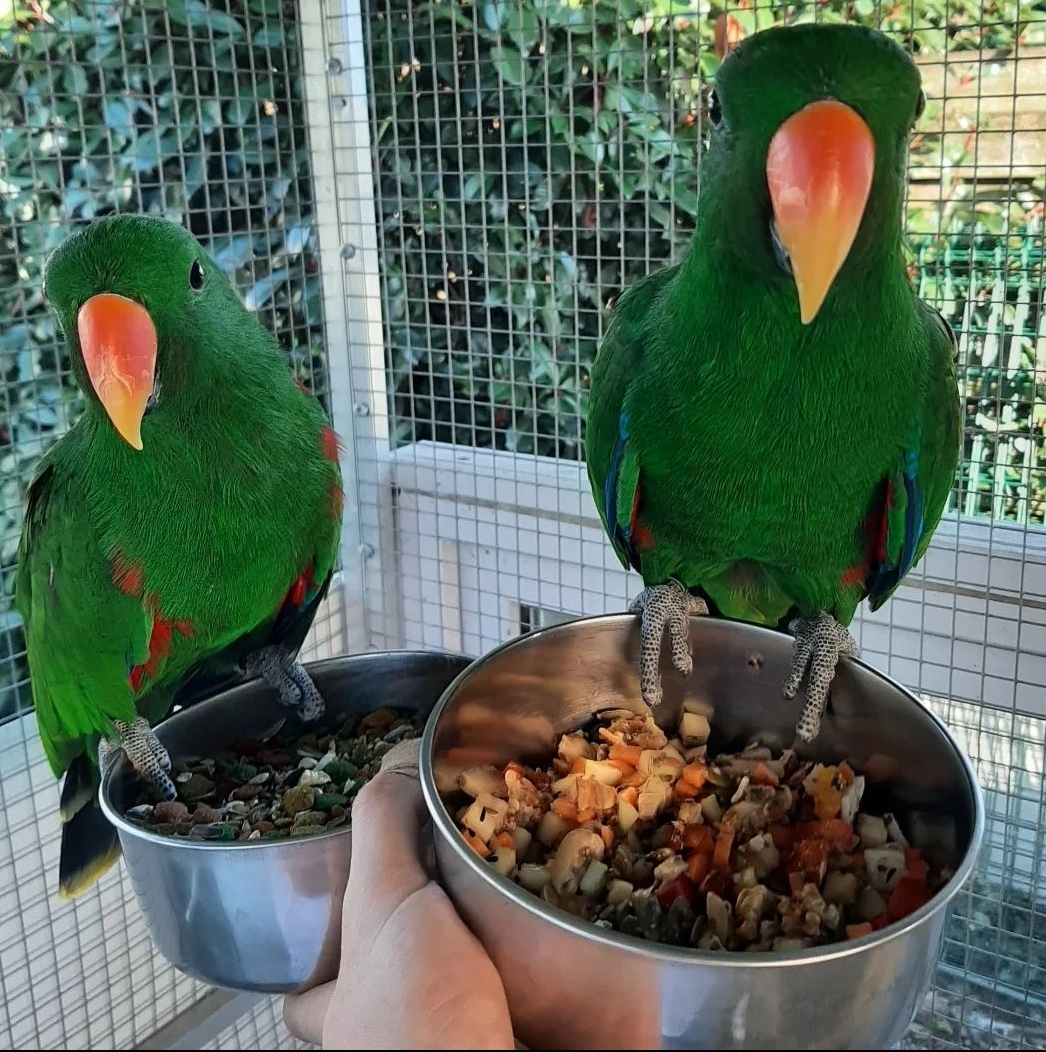 SmartSelect_20221123-002140_Instagram