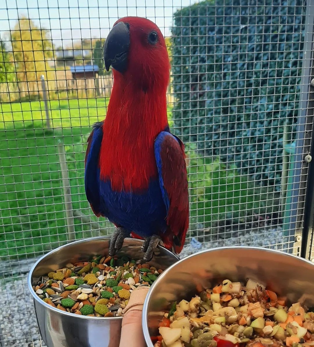 SmartSelect_20221123-002239_Instagram