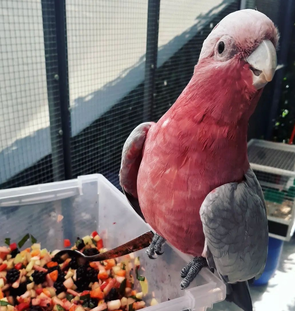 SmartSelect_20221123-003046_Instagram