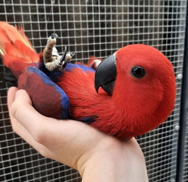 SmartSelect_20221123-003138_Instagram-600x582