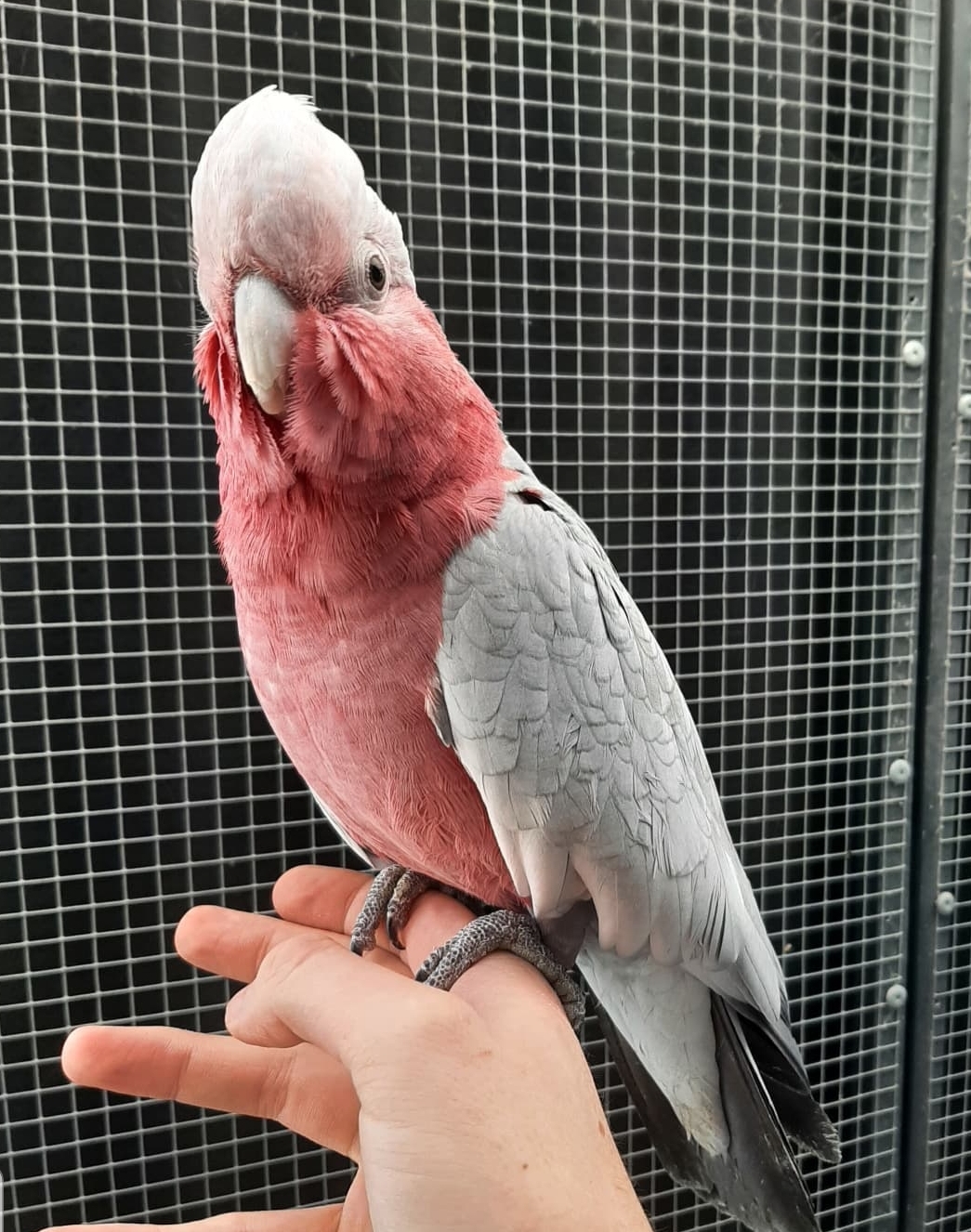 SmartSelect_20221123-003907_Instagram