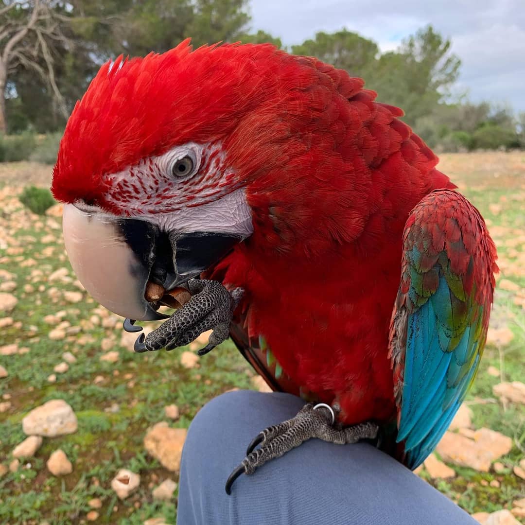 mathewscott1236_187732469_861926651027129_462109467846016948_n