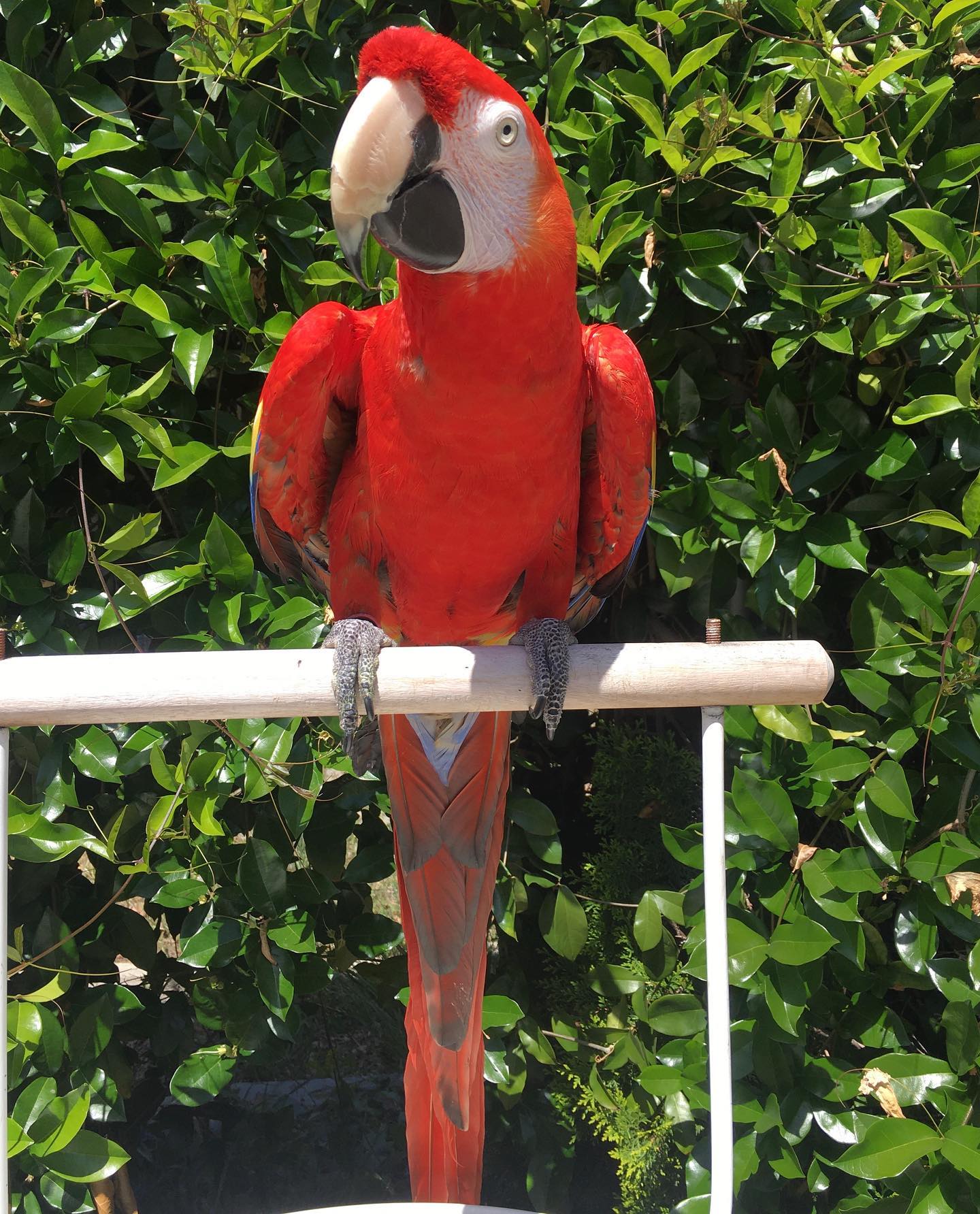 onas_exotics_2831019567545796340_21933181187_6_1440x1784