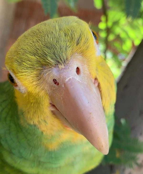 tachitobonito_64763837_415288532394023_503970937686680004_n-600x727-1